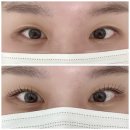 다연환경 | 온천장속눈썹연장 추천 다연브로우 동래온천점 펌포인트 시술 후기