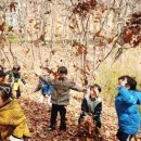 계남 유아숲체험원 이미지