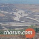 밀림 여의도 이미지