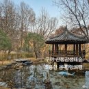 환타랜드숲유치원 | 나만 알고 싶은 구미의 쾌적한 휴식처 | 북적이는 에코랜드 대신 조용한 산동참생태숲 나들이