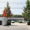 피터팬승마캠프 이미지