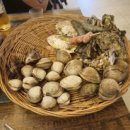 조개본능 이미지