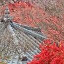 꽃동산분식