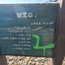 보호수광장 이미지