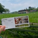 기정목장 이미지