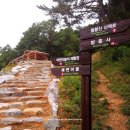 봉황산나래숲 이미지