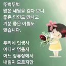 얄미운 여자 이미지