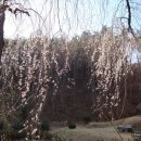 해우2농장 이미지