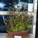 북삼읍사무소 이미지