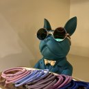 뷰랜드 여성전용PT 이미지