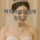 [8. 백작바이피렌체 청담점] 스튜디오 촬영용 티아라 대여