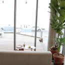 제주아이니 이미지