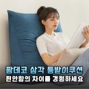 침대/소파 필수템! 팜데코 삼각 등받이쿠션으로 꿀휴식