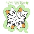 메이;율