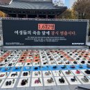 “여성 살해 피해자 3명 중 1명, 관계폭력 이력”…경찰, 강력범죄 전조 첫 통계화 이미지