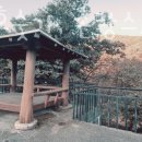 마리네 민박 이미지