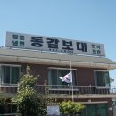 동갈보대 이미지