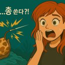 바다네일 티스토리