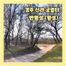경주 여행 벚꽃 명소 월성 위치 주차 방문 포토존 산책 후기