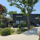 동읍1177 | 창원 동읍 대형카페 완벽한 숲속뷰 디저트 맛집 용강포레 내돈내산 솔직후기