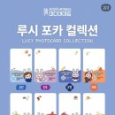 (주)루시미디어 이미지