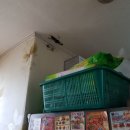 중계건영2차아파트 이미지