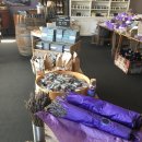 아서농장 이미지