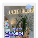 레이어드컷과 뿌리 염색 후기 동탄 미용실 준오헤어 동탄SRT역점