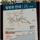 아름다운나날경로당 | [태백 두리봉]금천-문수봉-소문수봉-두리봉-된봉-나날아파트