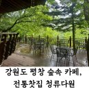 강원도 평창 월정사 카페 : 청류다원 후기(전나무숲길까지)