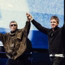 오아시스 이미지