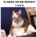 카페나날