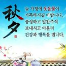 본톤가구금성침대원대점