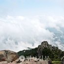 [조용헌의 지리산 당취]10. 백무동(百巫洞)의 무(巫)와 무(武) 이미지