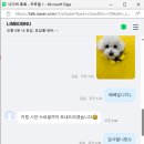우리집 강아지 | 임밥누 주문제작 우리집강아지 키링 후기