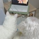 올라운더네일 이미지