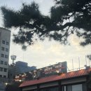 경기도 수원시 팔달구 수원천로392번길 | [수원] 핫한 야끼니쿠루 주말 웨이팅, B 세트+사이드+음료 무한리필🍖 방화수류정