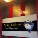 미스터복어 이미지