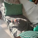 새기막골 | 2월 건너뛰고 3월이네요..ㅎㅎ(1편)