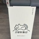 믿음의 동산 | [일산 카페]서울 근교 고양이 카페 고양이동산