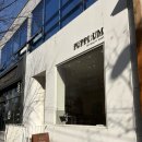 퍼피움 | [광주/서구] 금호동애견미용 퍼피움 애견미용 솔직 후기