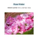 썬플러스