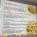 보양촌 - 청주시 흥덕구 | 보양촌