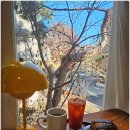 일산로 803번길 | 킨텍스 애견동반 카페 | 글루텐프리 케이크 커피 맛집 남표카페