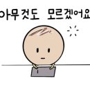안스테이