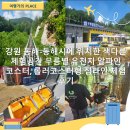강원특별자치도동해시치매안심센터 | 강원 동해-동해시에 위치한 색다른 체험공간 무릉별 유천지 알파인 코스터, 롤러코스터형 집라인 체험 후기