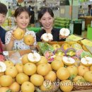 화산농업협동조합 이미지