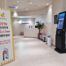 레몬사우나 이미지