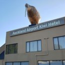 키위모텔 이미지