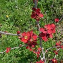 가실농장 이미지